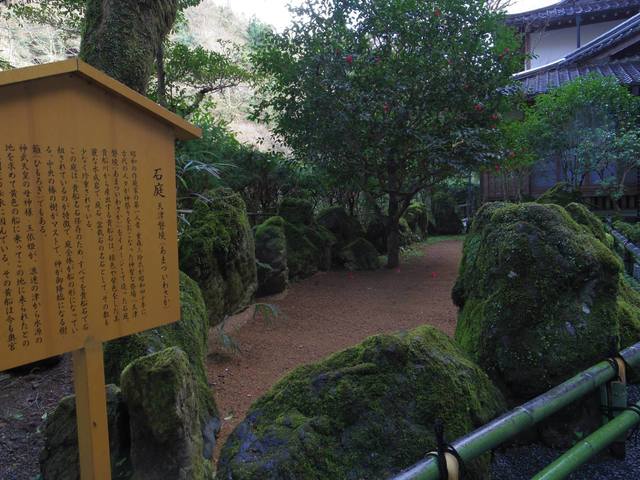 76.jpg